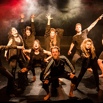 Butterflies in the Sunrise