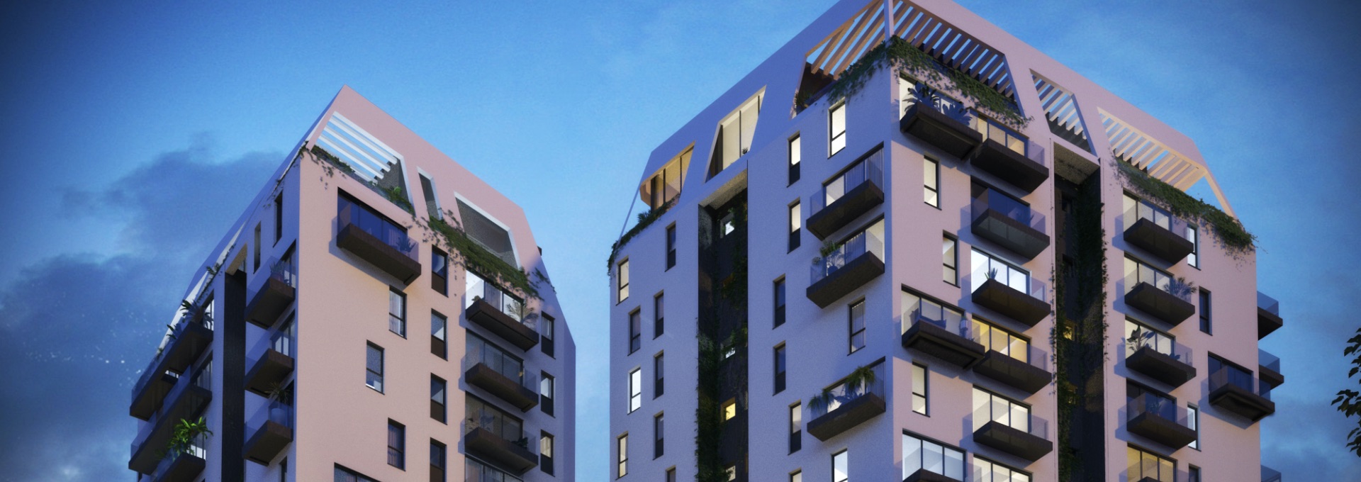 פרויקט - דוגמא