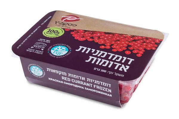 דומדמניות אדומות