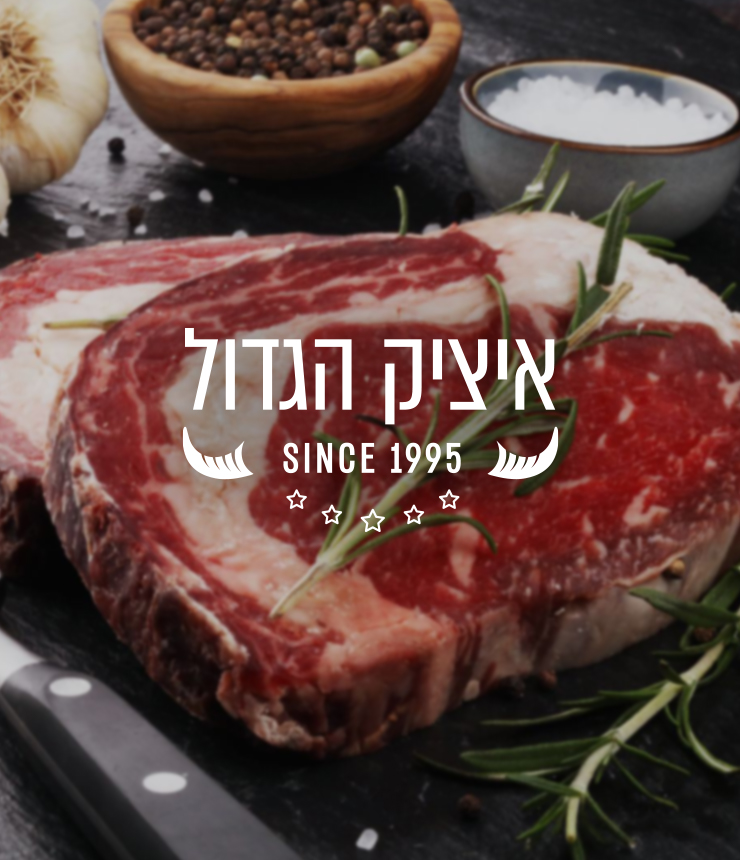 אתרי מכירות שהקמנו לאחרונה-11