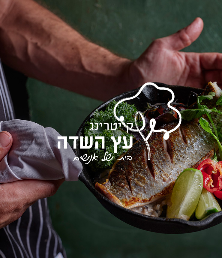 אתרי מכירות שהקמנו לאחרונה-01