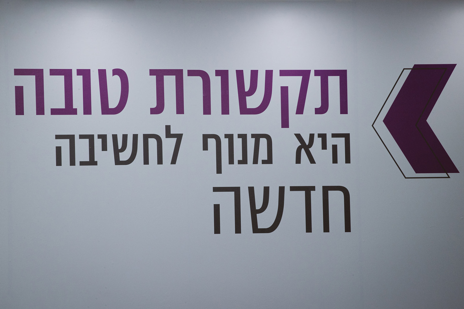 גלריית תמונות-17