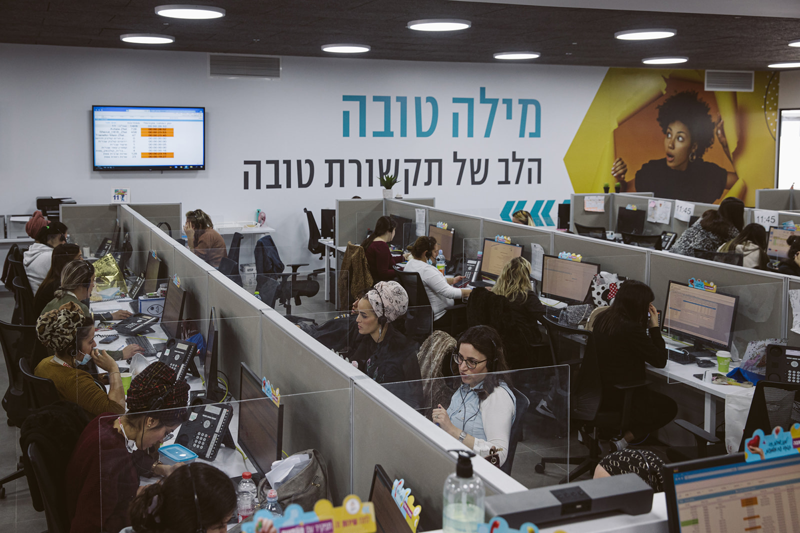 גלריית תמונות-19