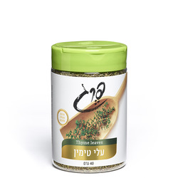 עלי טימין