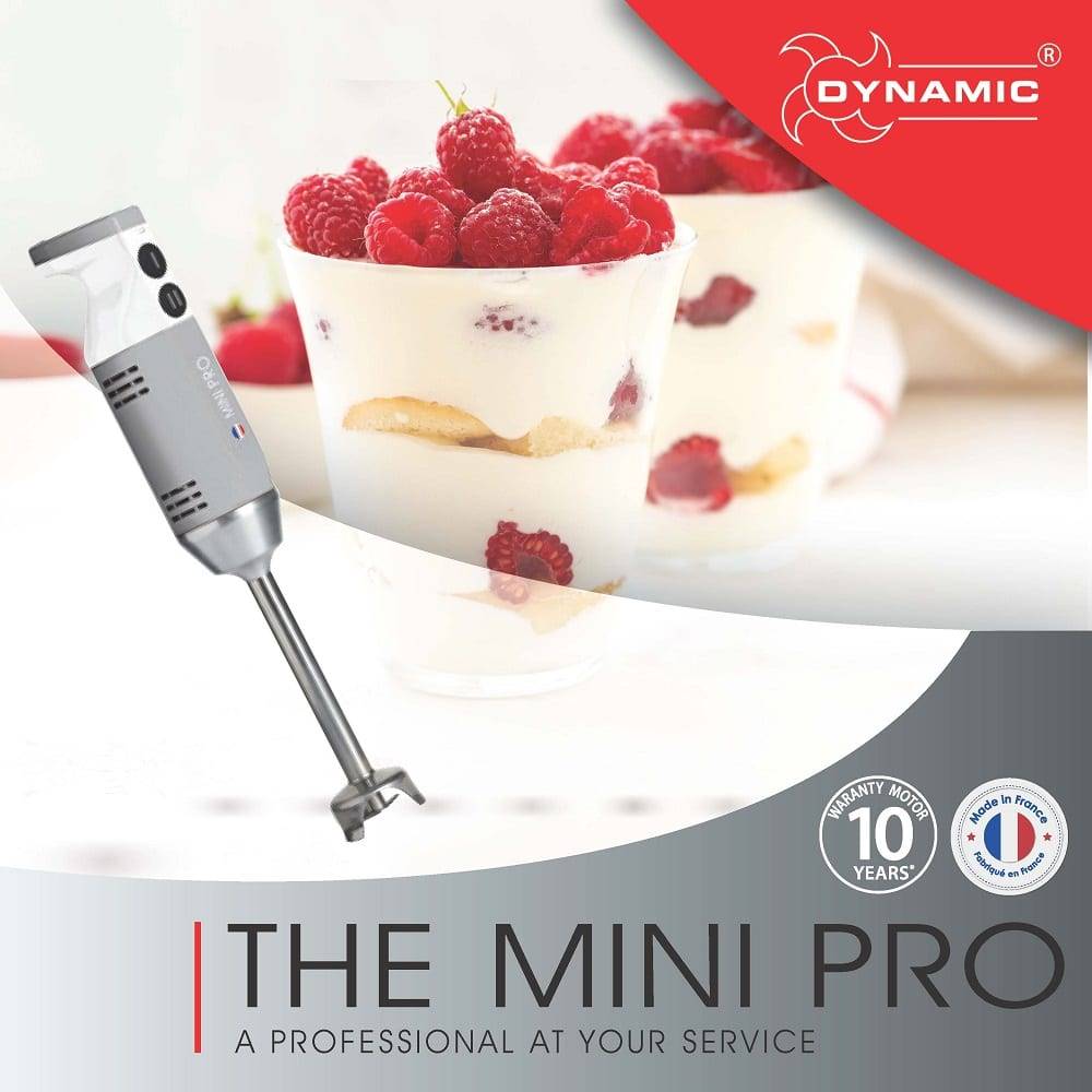 DYNAMIC The MINI PRO מערבל ידני קומפקטי