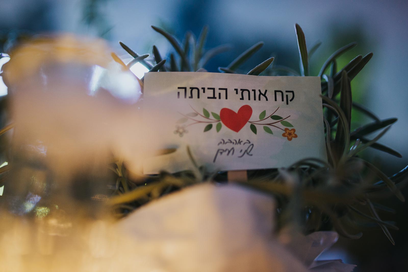 חתונת בריכה-201