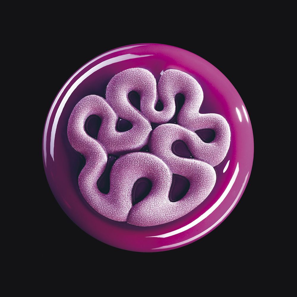תבנית סילקון (JELLY) 2 שקעים תואם תבנית (KE024)