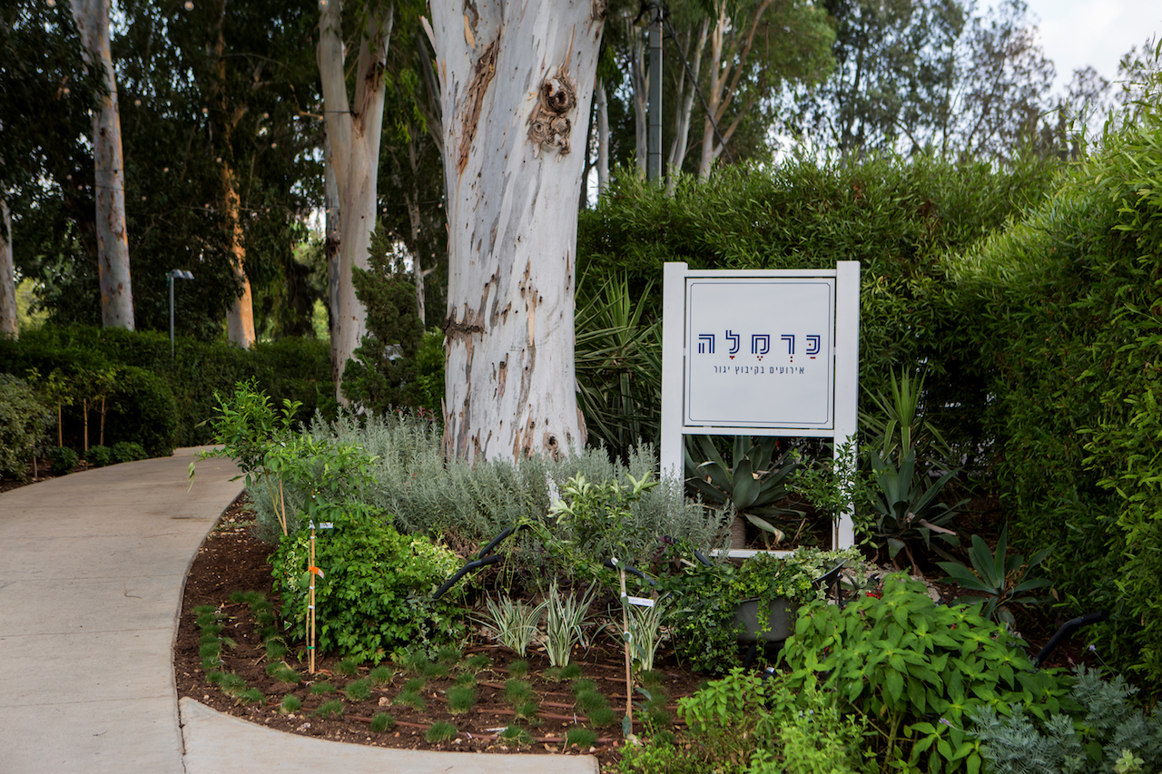 כרמלה יגור – גן אירועים בצפון