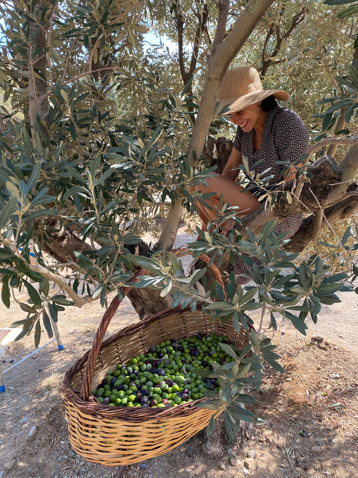 הסיפור שלנו-351