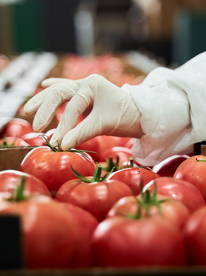 בטיחות מזון