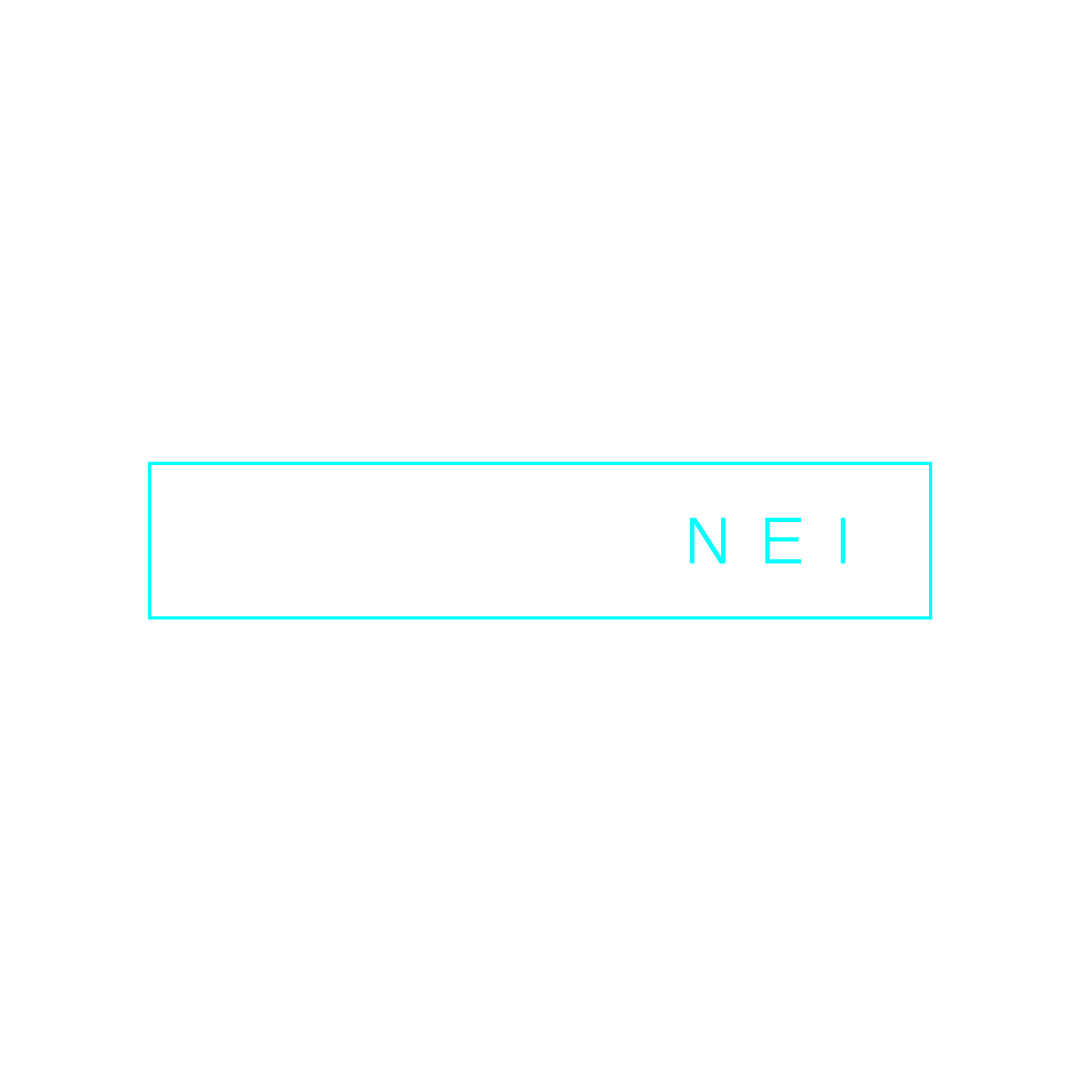 -81