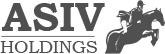 Asiv Holdings