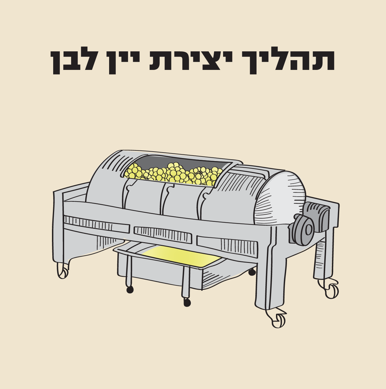 תהליך יצירת יין לבן