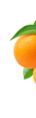 -61