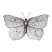 -331