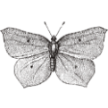 -01