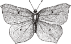 -381