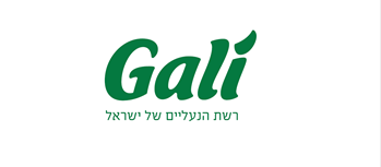 גלי- Gali