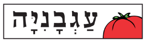פיצה עגבניה- Pizza Agvania