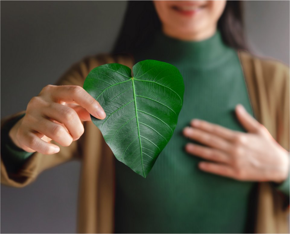 Sustainability