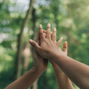 Social sustainability