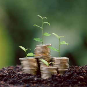 Economic sustainability
