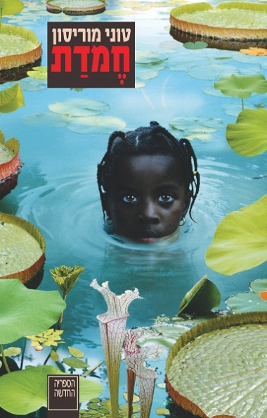 חמדת [מחודש]