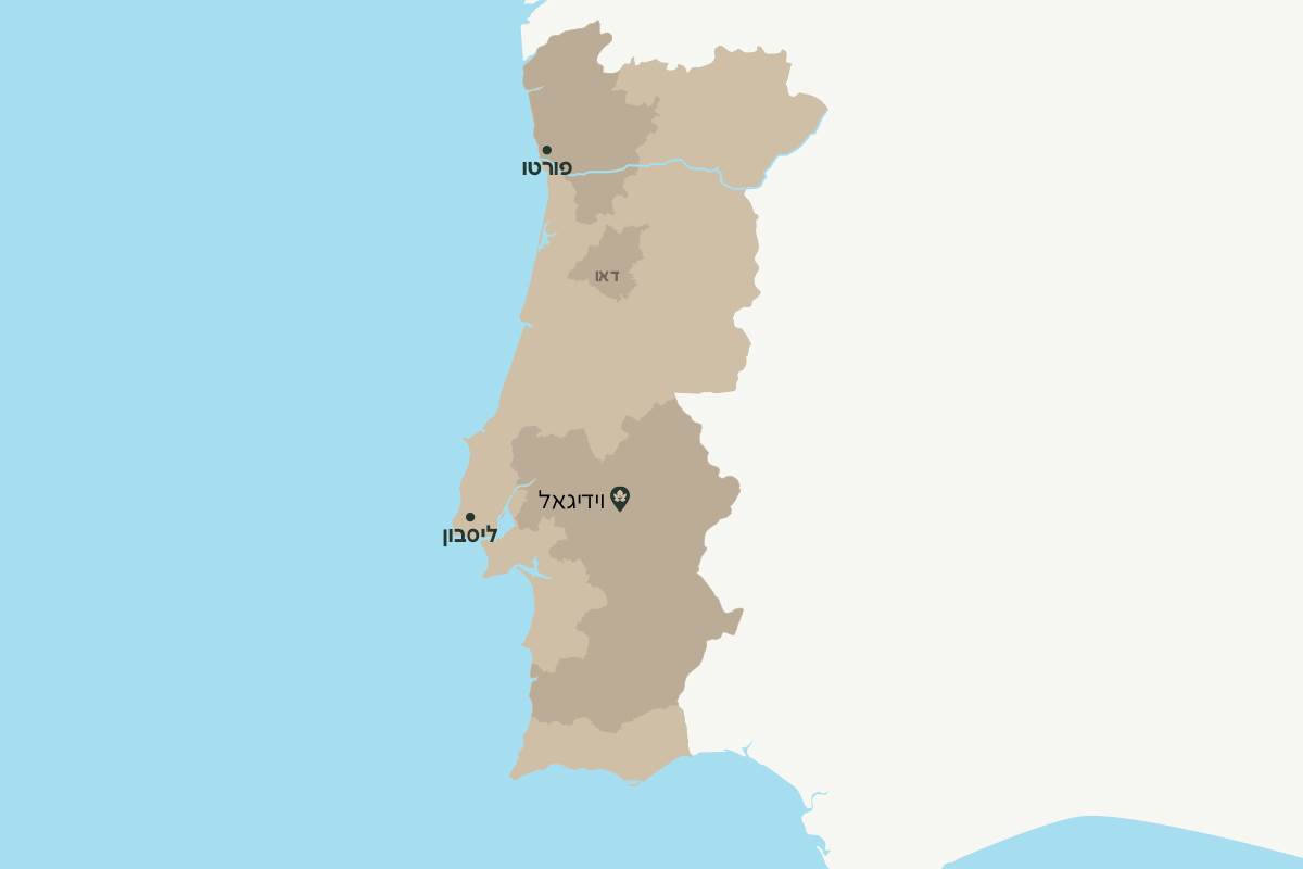 וידיגאל