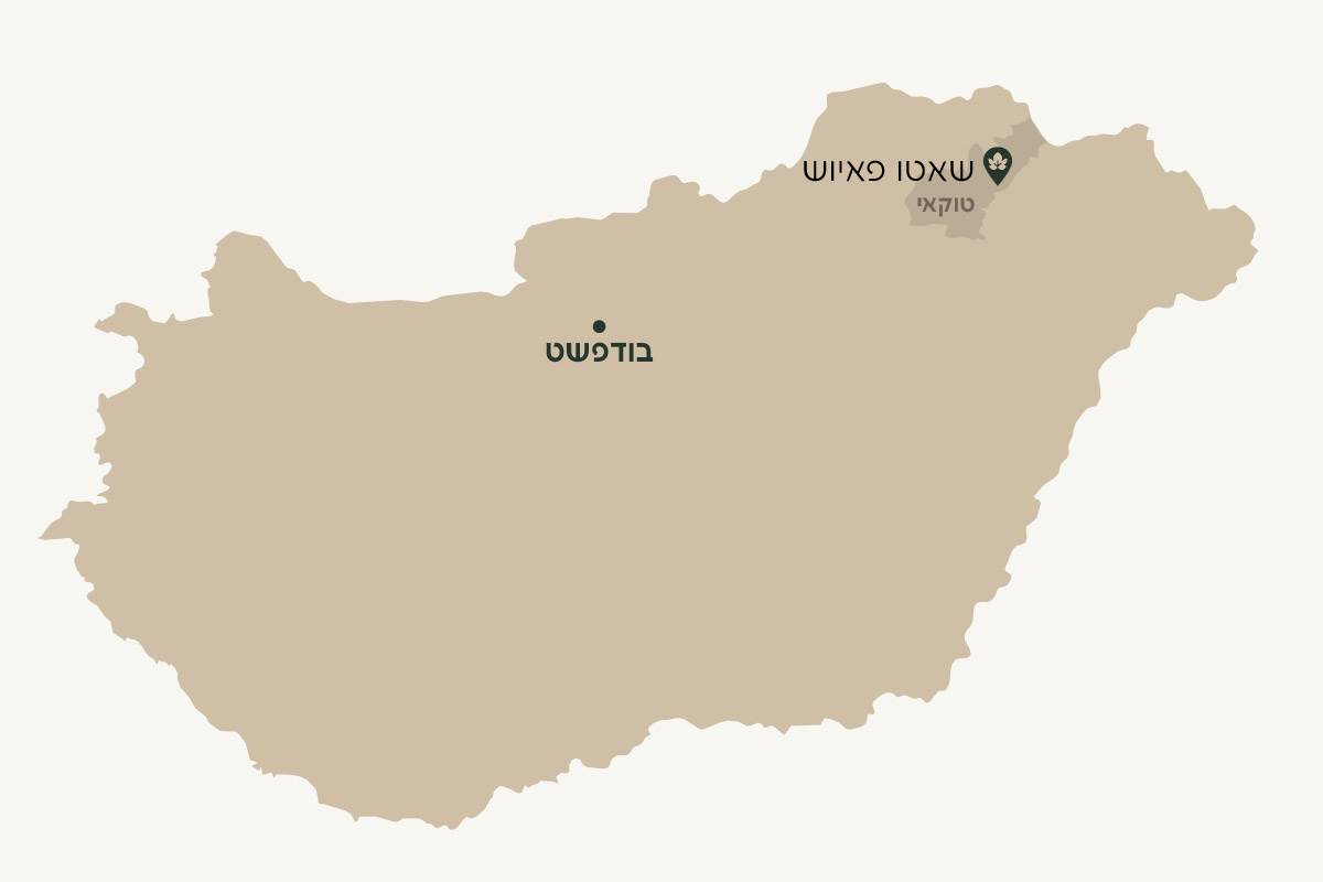 שאטו פאיוש