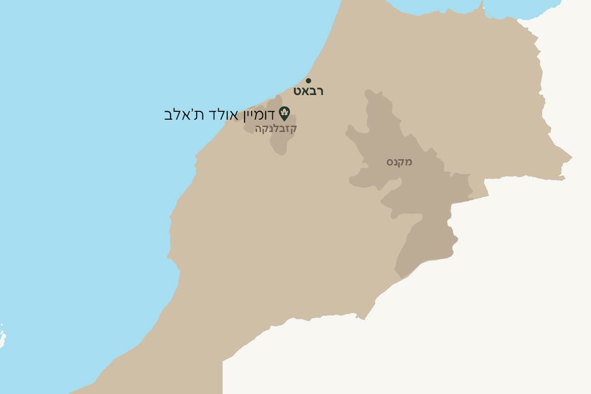 דומיין אולד ת'אלב