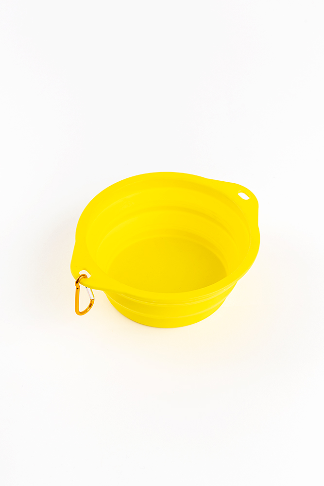Silicone foldable  food bowl for pets