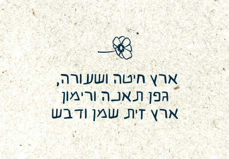 אימג'