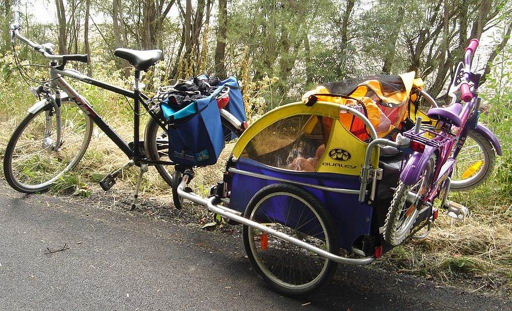 BIKE&MORE על הדנובה מפסאו לפסאו