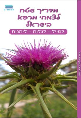 מדריך שטח לצמחי מרפא בישראל