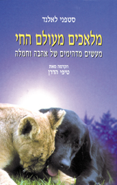 מלאכים מעולם החי