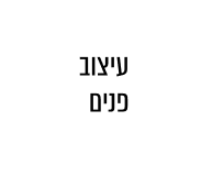 עיצוב פנים 