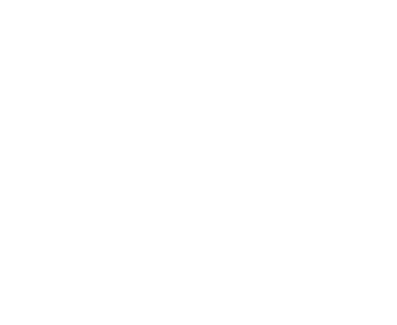 Jaffa Fest