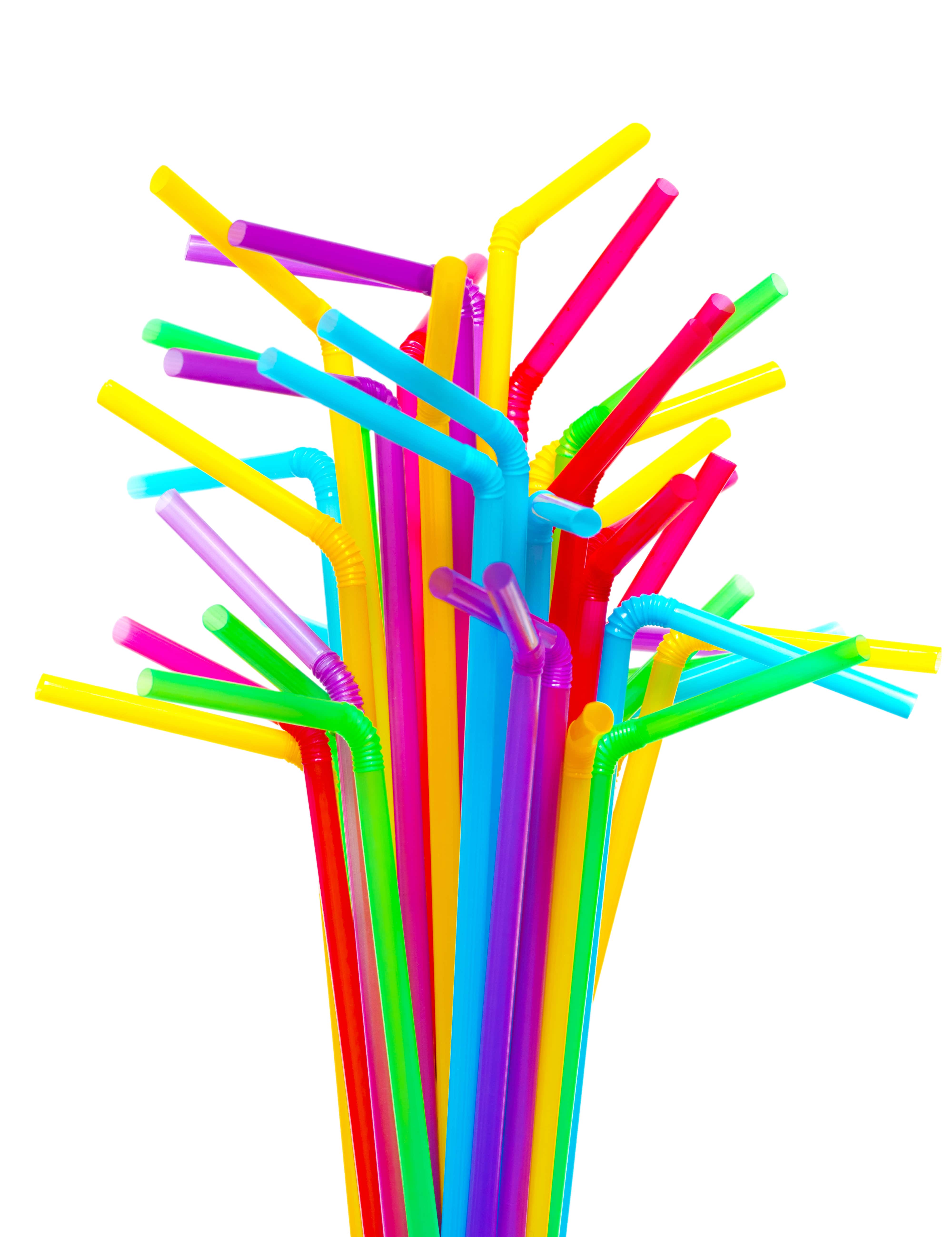 Eco-friendly set of 8 bamboo straws