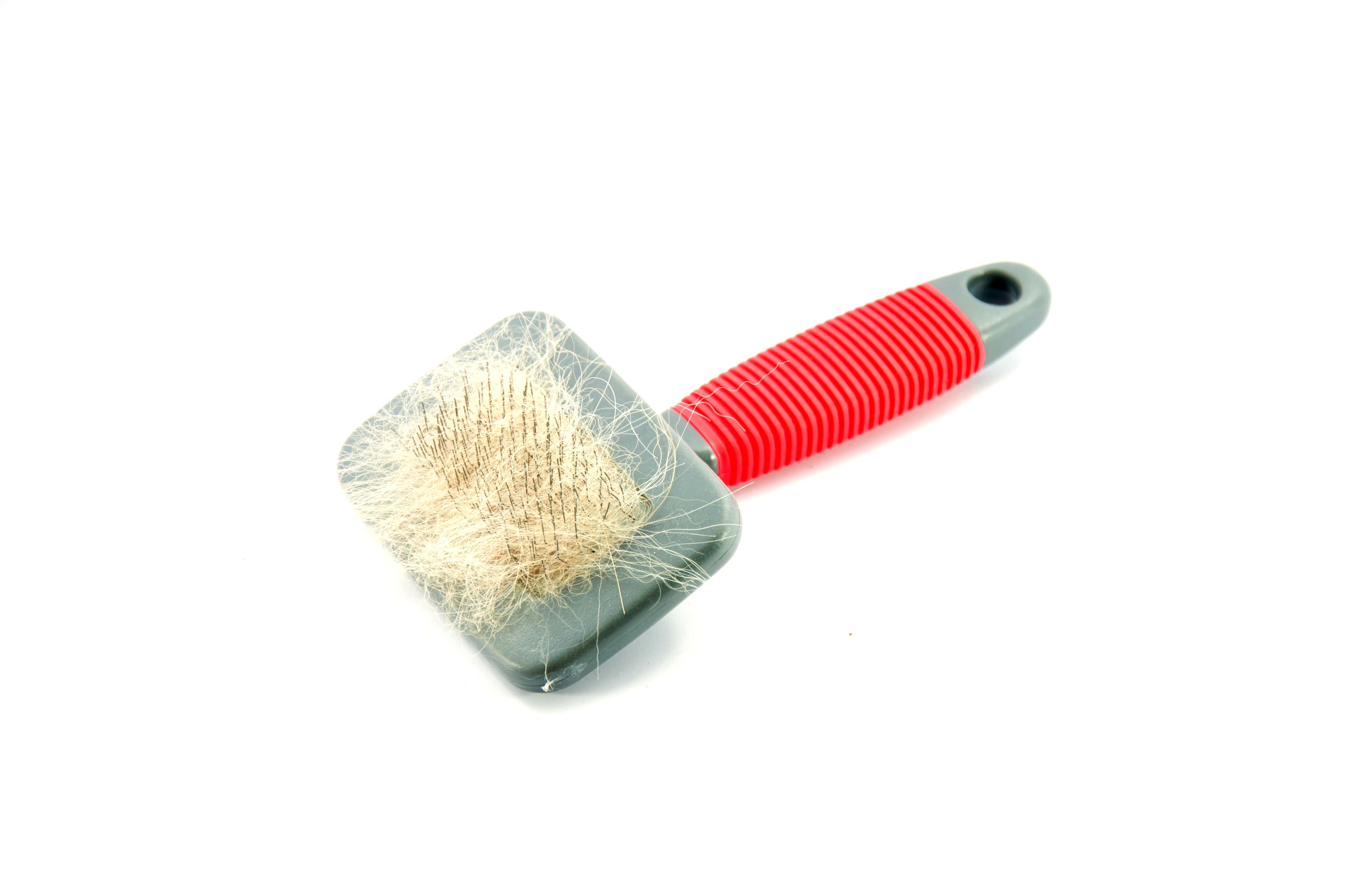 Pet Grooming Bath Brush