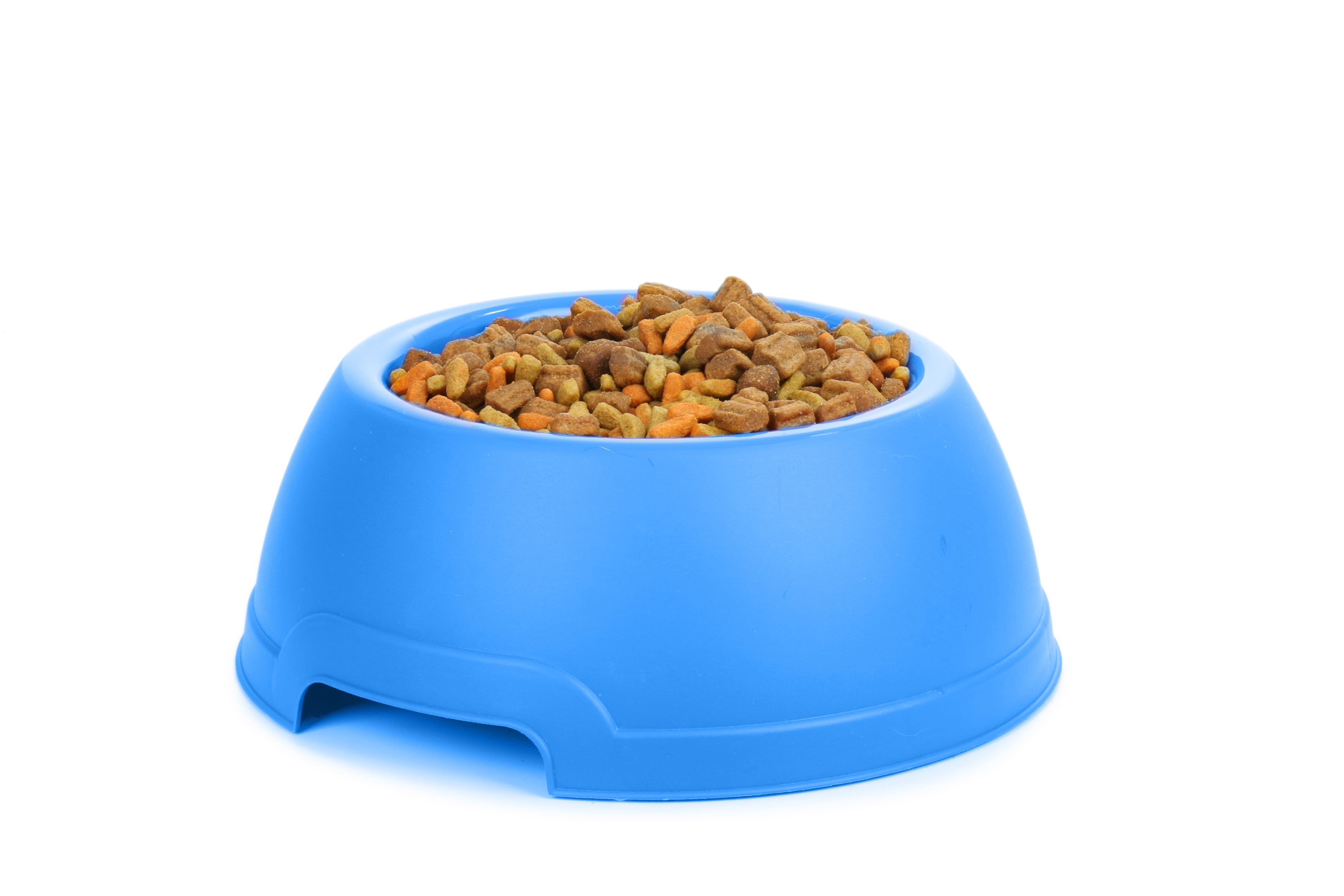 Silicone foldable food bowl for pets