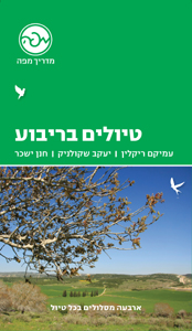 טיולים בריבוע