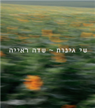 שדה ראייה