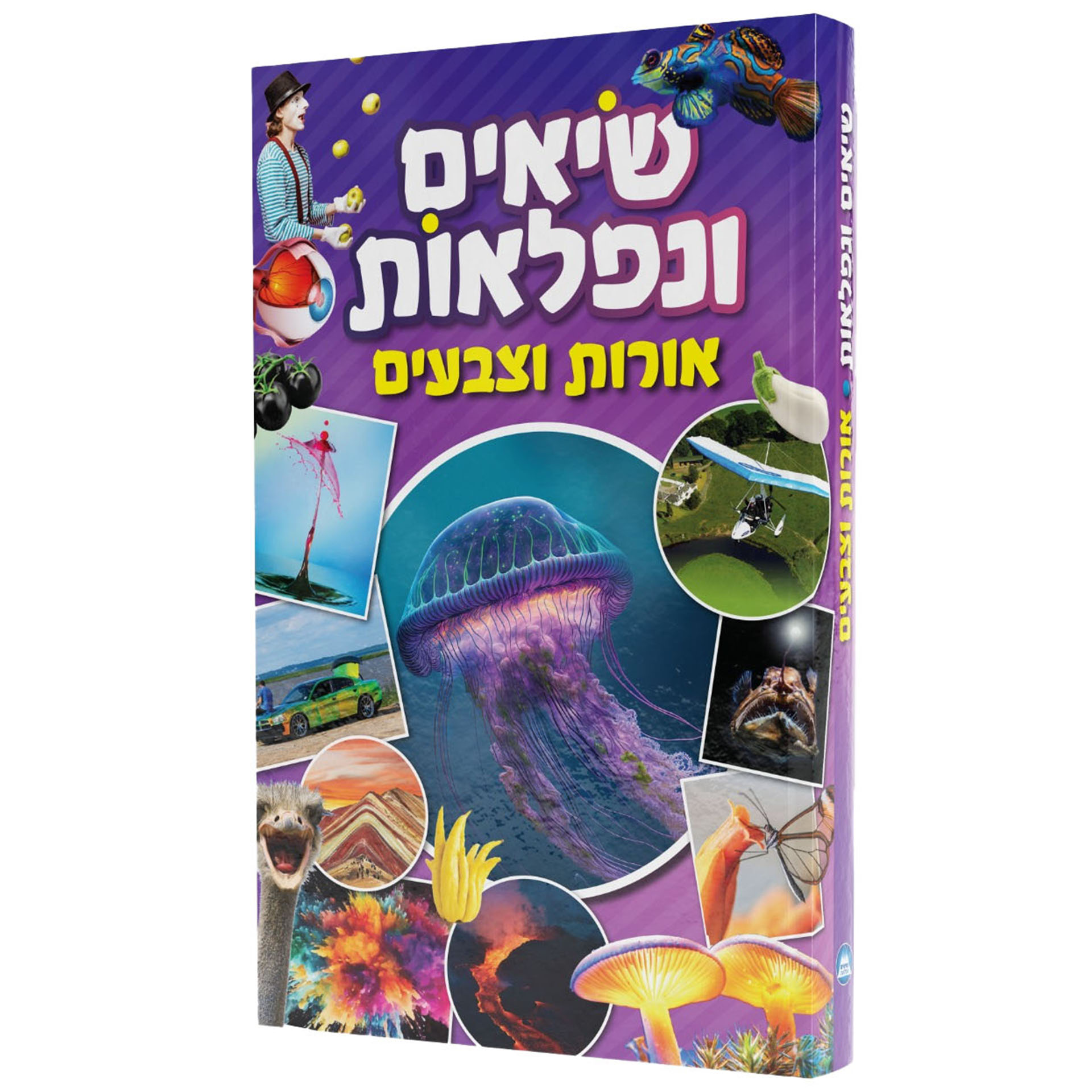 שיאים ונפלאות 6 אורות וצבעים