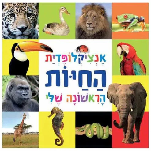 אנציקלופדית החיות הראשונה שלי