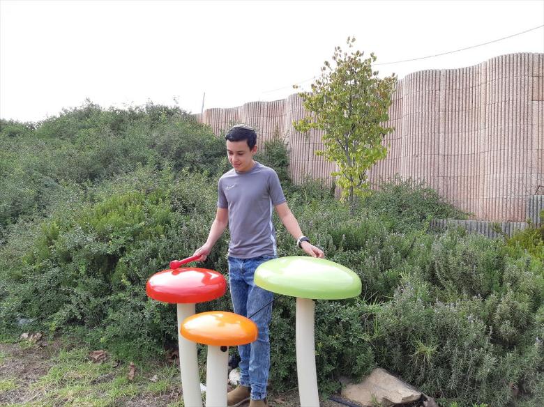 פעמוני פטריות