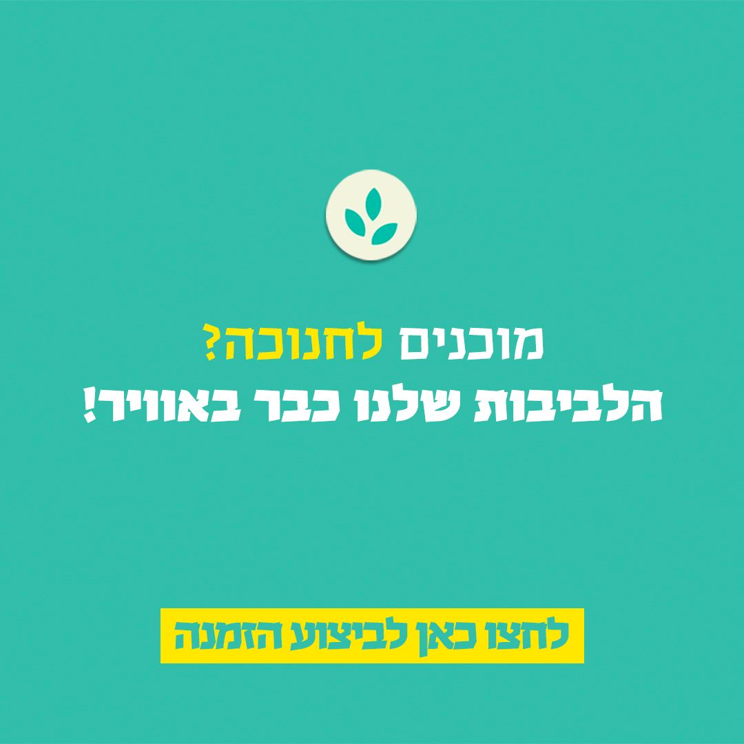 חנוכה 24