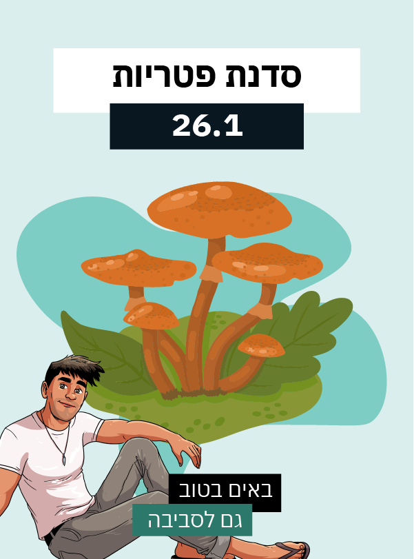 סדנת פטריות