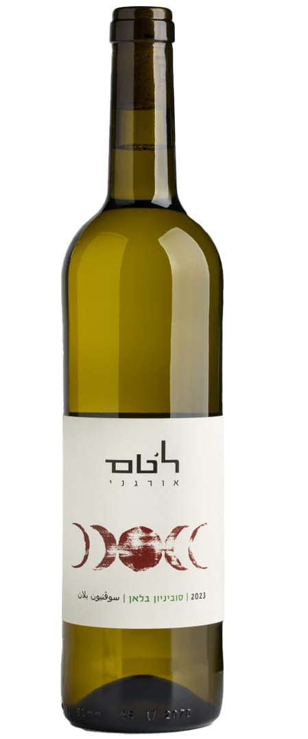 וגה - לטם