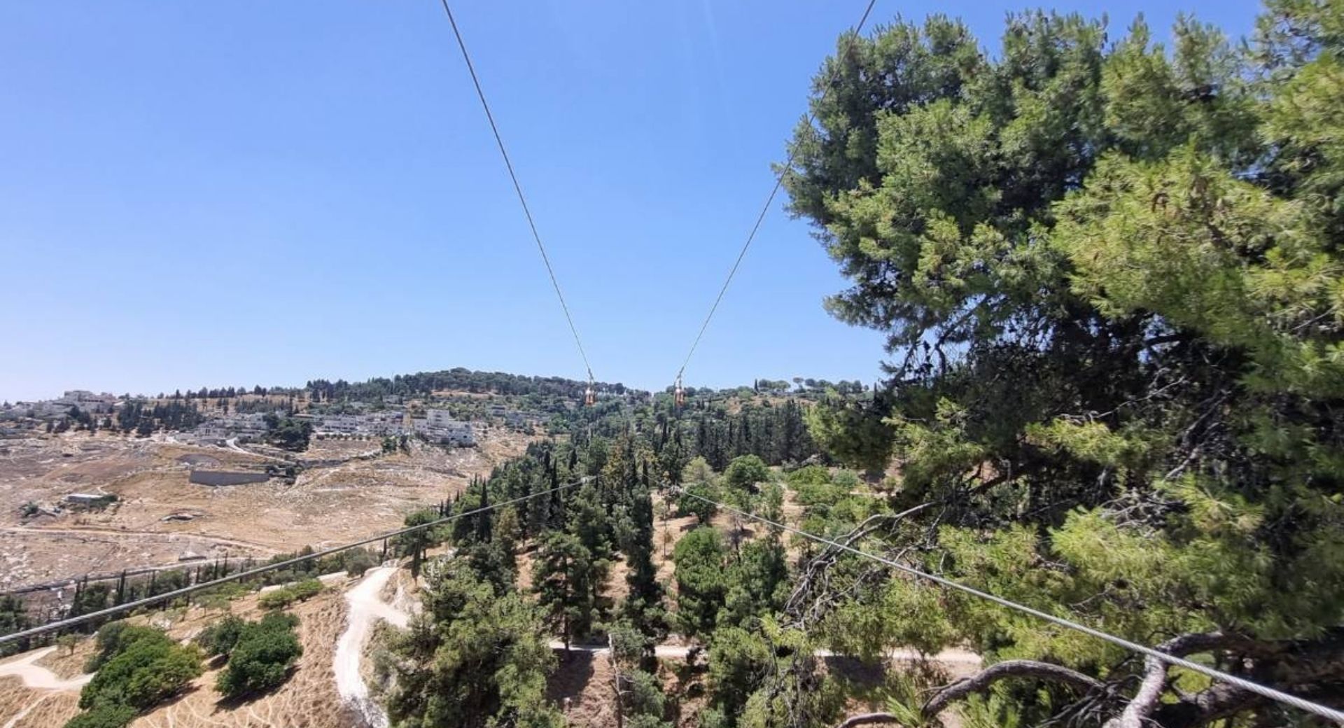 האומגה הארוכה בישראל