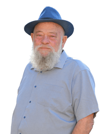 אריה פלס